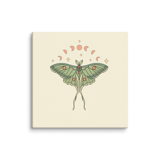 Lunar Moth Canvas